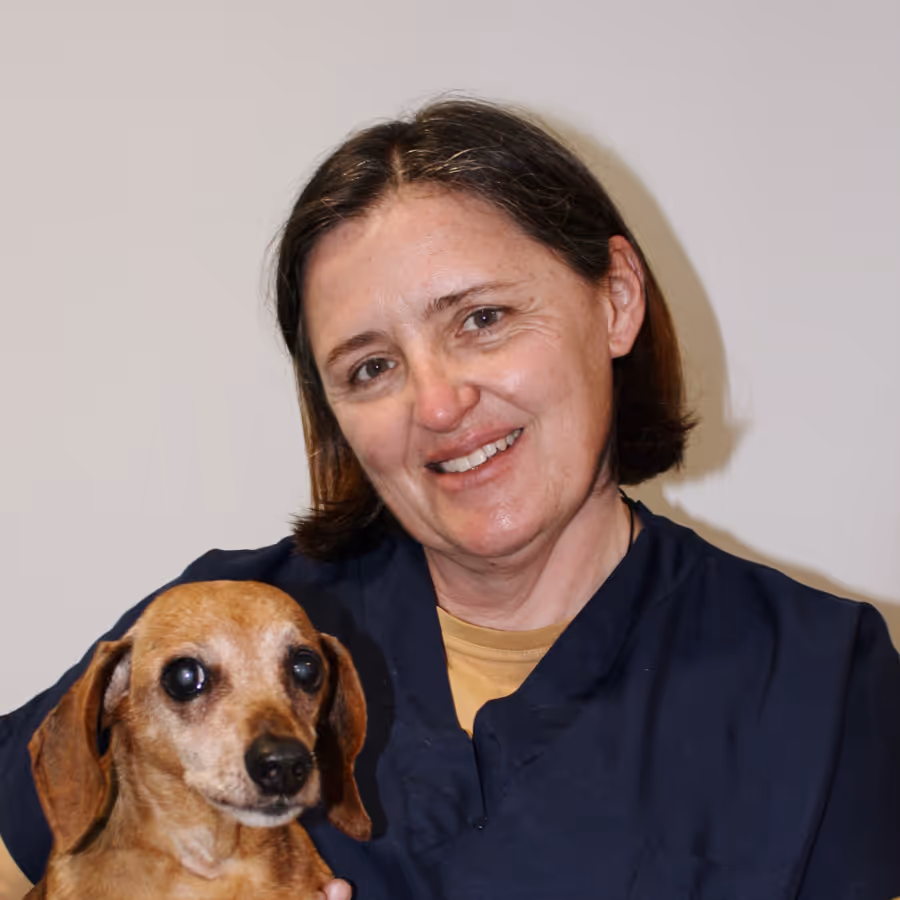 Dr Gosia Ornatowska, veterinarian at Citivet Bothasig and Monte Vista