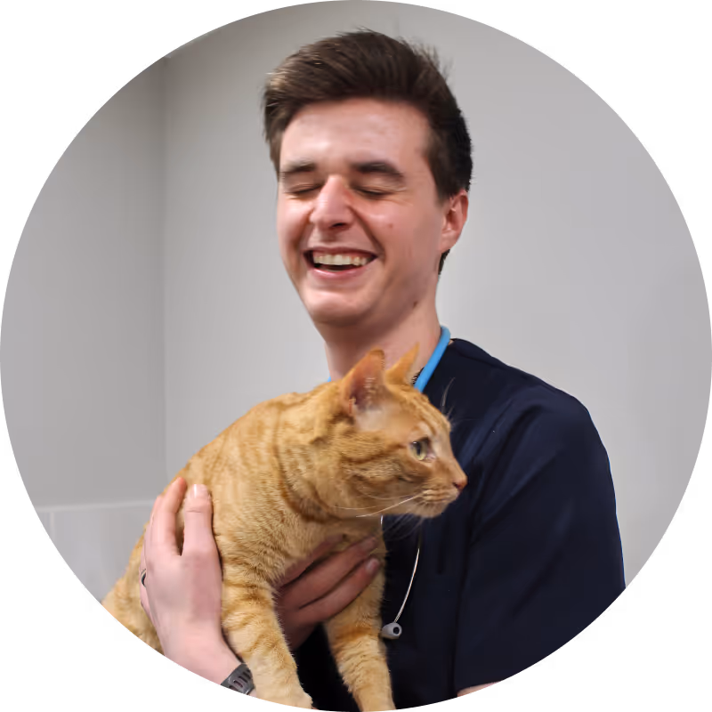 Smiling veterinarian holding an orange tabby cat against a plain background at Citivet.