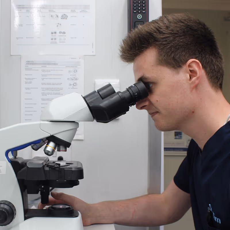 Person looking into a microscope in a laboratory setting at citivet